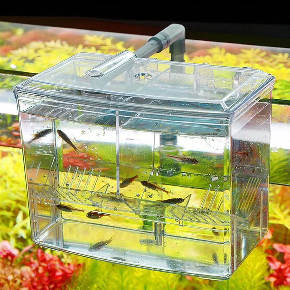 Aquarium Fish Breeding Box for - Marine Aquarium With Sump ulasan dan harga