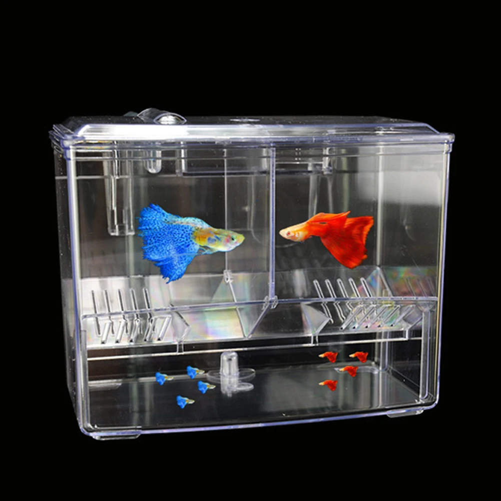 Aquarium Fish Breeding Box for - Marine Aquarium With Sump ulasan dan harga