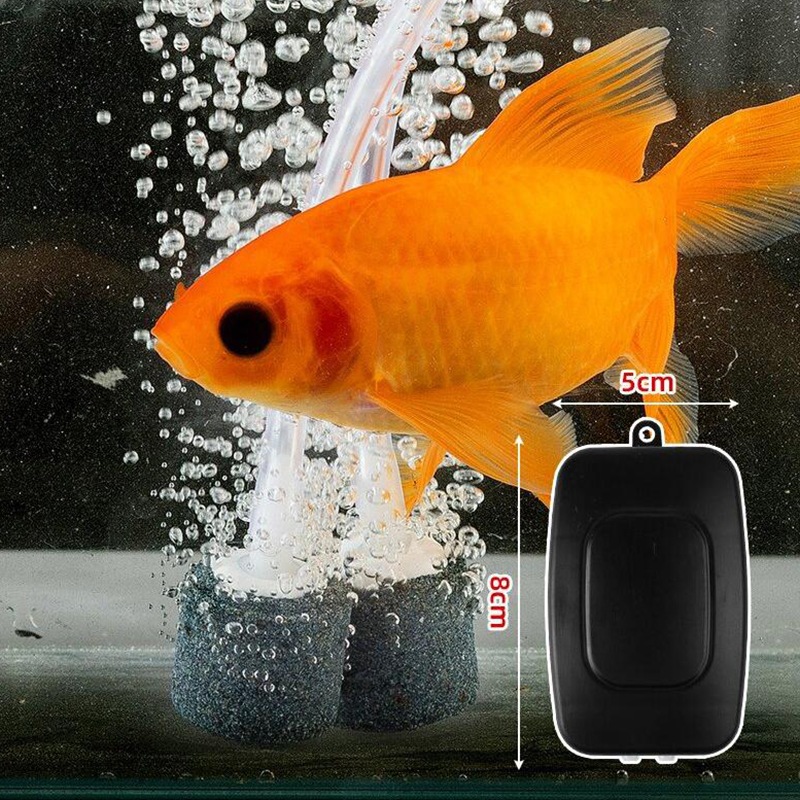 Mini Aquarium Air Pump Kit Oxy - Marine Aquarium Equipment ulasan dan harga