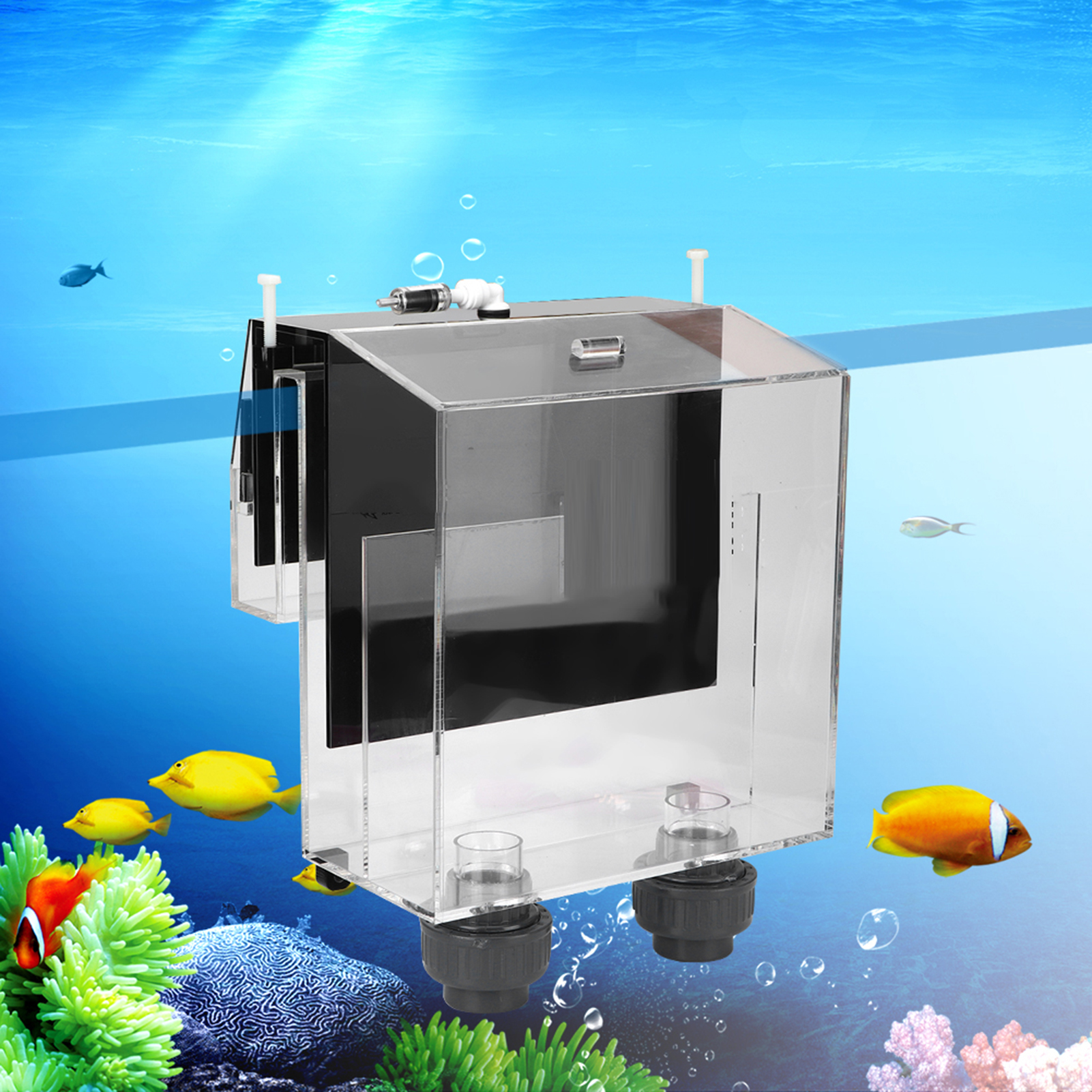 Quality Acrylic Self start Sip - Marine Aquarium Overflow Box ulasan dan harga