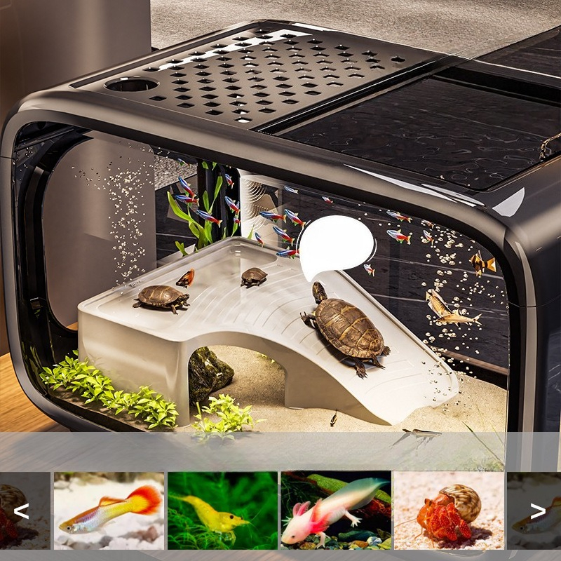 Luxury Covered Desktop Fish Ta - Marine Aquarium With Sump ulasan dan harga