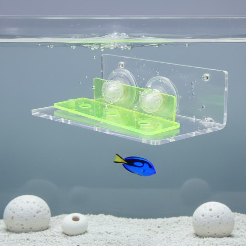 1Pcs Coral Rack Marine Reef St - Coral Frag Plug ulasan dan harga