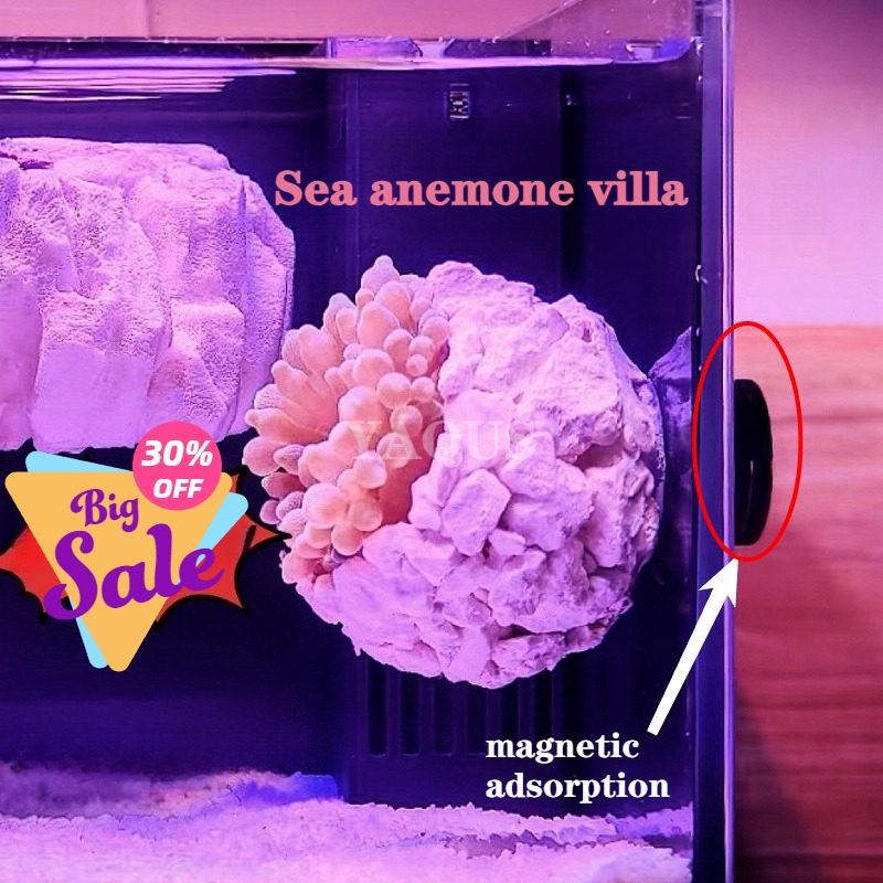 New DIY Handmade Floating Magn - Coral Frag Plug ulasan dan harga