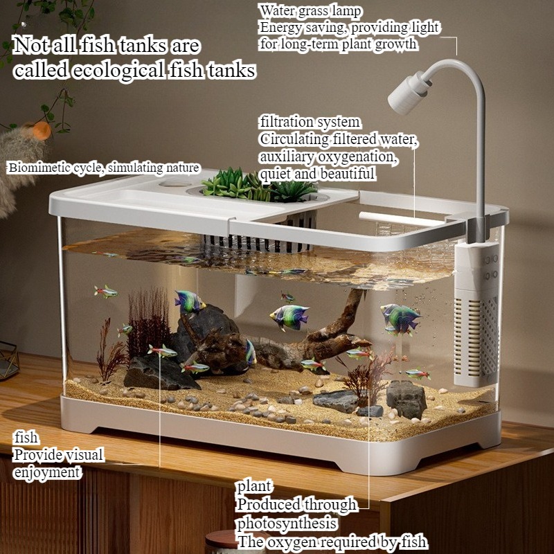 Fish tank household aquarium l - Marine Aquarium With Sump ulasan dan harga