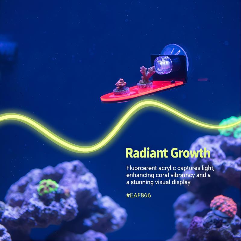 Acrylic Coral Frag Bracket 1Pc - Coral Frag Plug ulasan dan harga