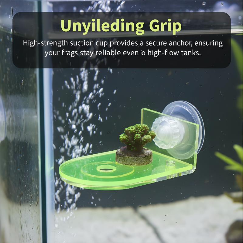 Acrylic Coral Frag Bracket 1Pc - Coral Frag Plug ulasan dan harga