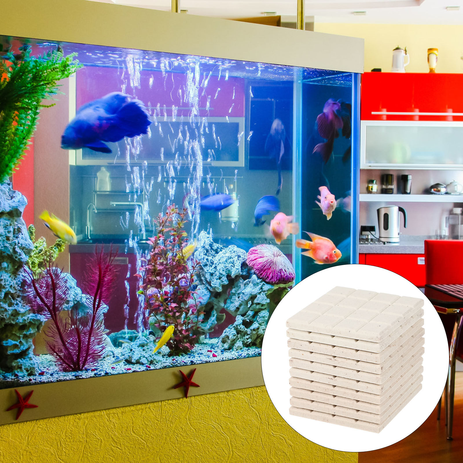10Pcs Aquarium Coral Holder Ce - Coral Frag Plug ulasan dan harga