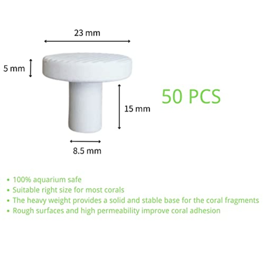 Coral Frag Plugs 50 Pcs Cerami - Coral Frag Plug ulasan dan harga