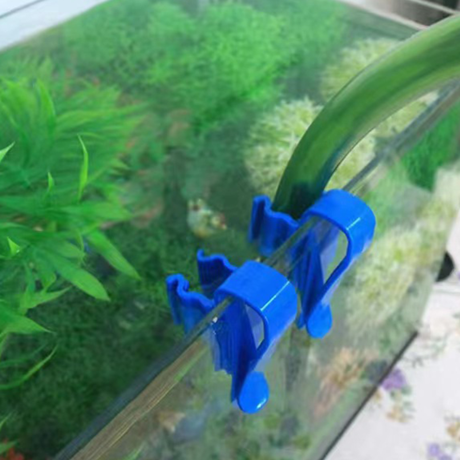 Aquarium Tube Holder Clip Fish - Marine Aquarium Equipment ulasan dan harga