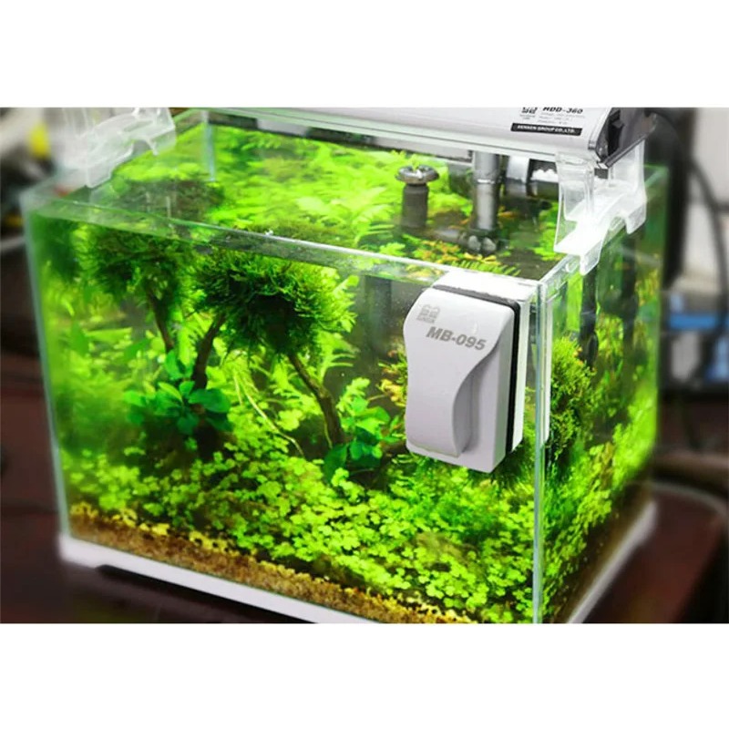 floating magnetic brush for aq - Marine Aquarium Glass Scraper ulasan dan harga