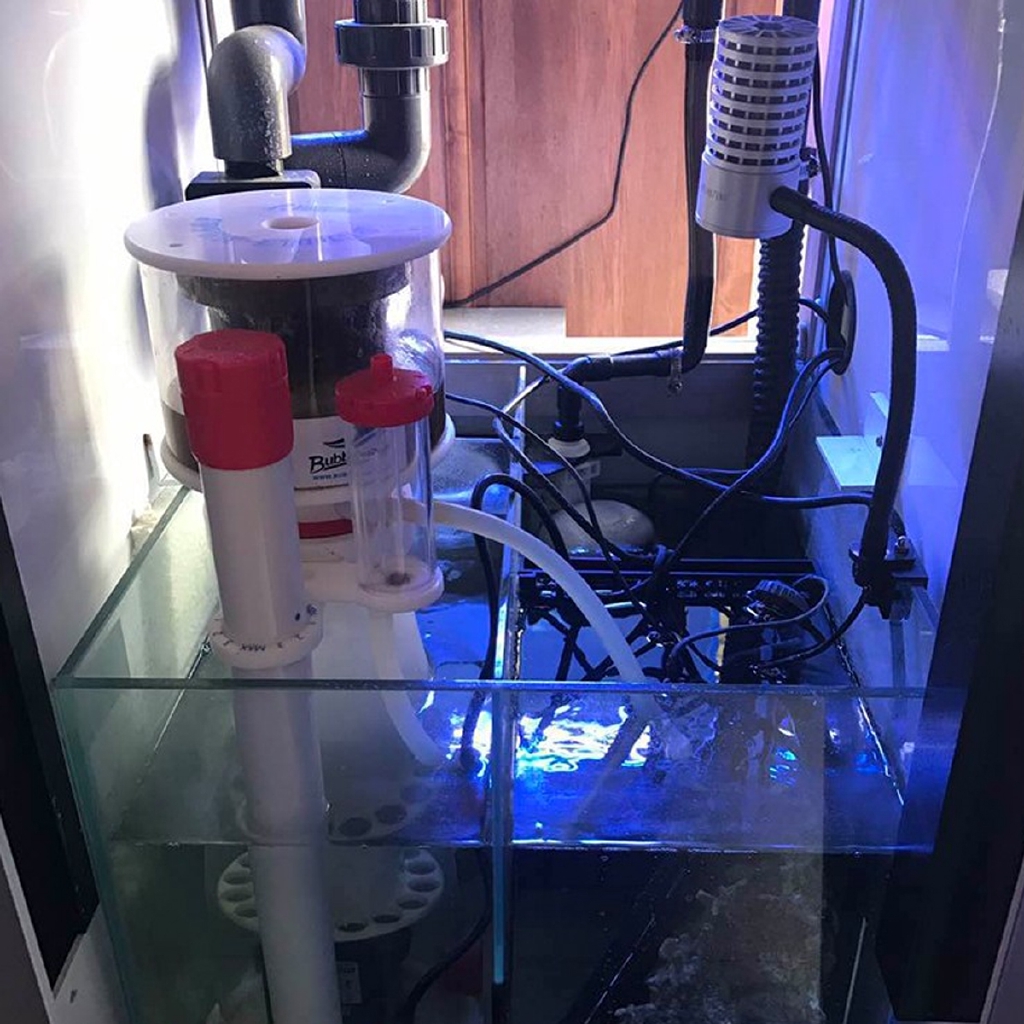220V Bubble Magus Curve5 Aquar - Protein Skimmer Hang On ulasan dan harga