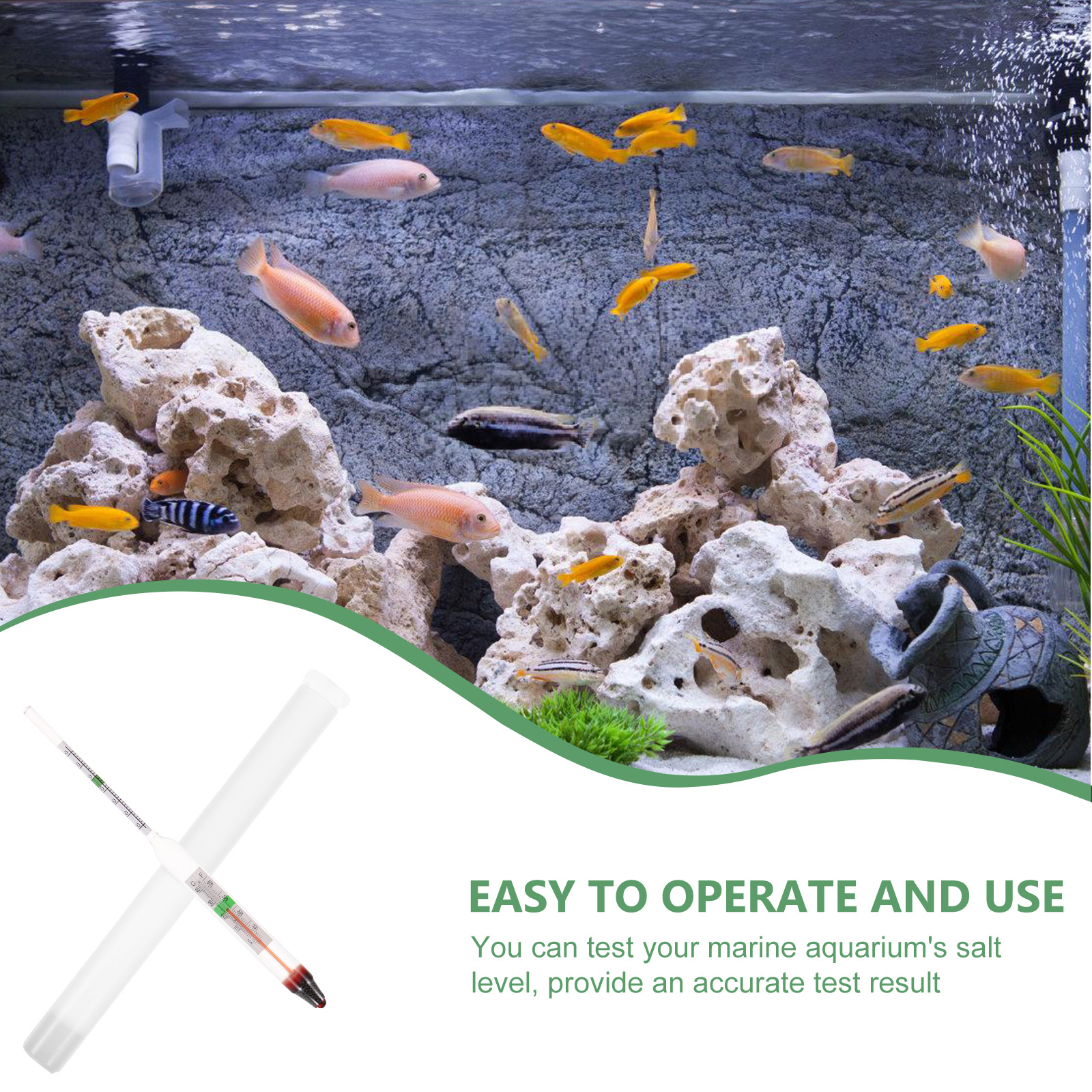 1Set Salinity Hydrometer Glass - Marine Aquarium Hydrometer ulasan dan harga