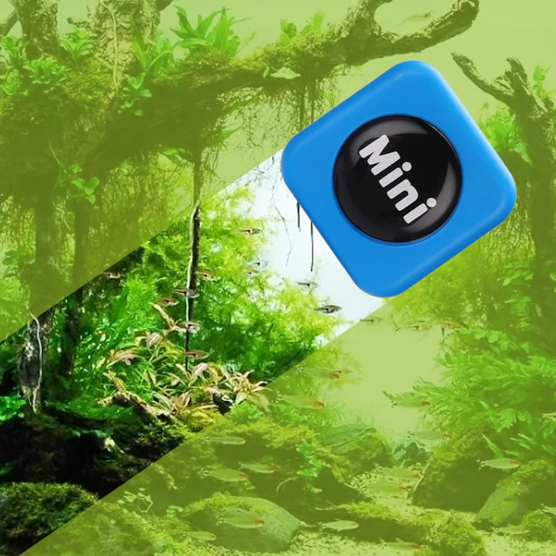 Aquarium Magnetic Brush Glass  - Marine Aquarium Glass Scraper ulasan dan harga