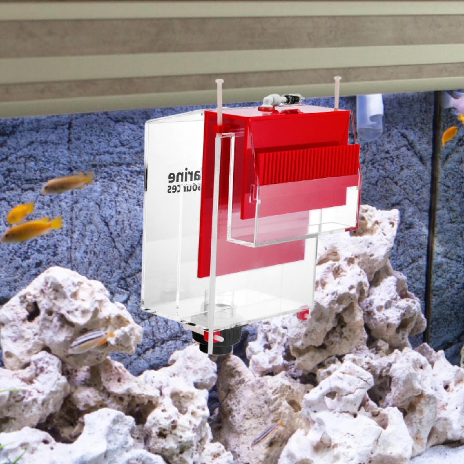 Overflow Box Aquarium Filter B - Marine Aquarium Overflow Box ulasan dan harga
