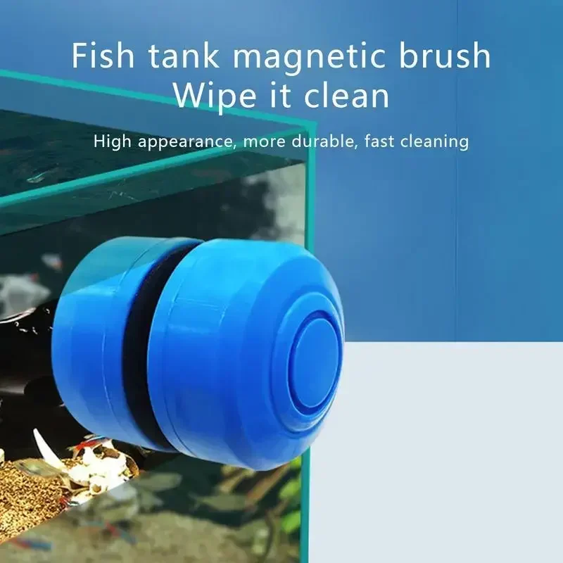 Mini Scrubber Tool Fish Tank G - Marine Aquarium Glass Scraper ulasan dan harga