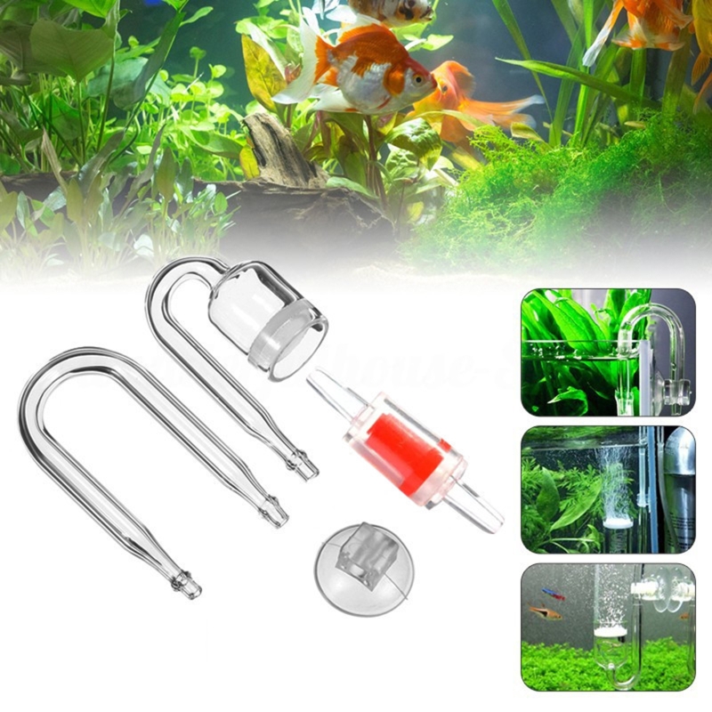 4pcs Set DIY CO2 Diffuser For  - Marine Aquarium Equipment ulasan dan harga