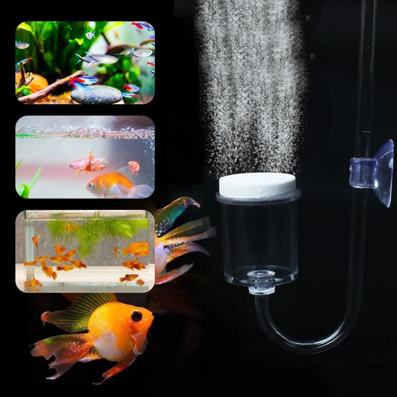 4pcs Set DIY CO2 Diffuser For  - Marine Aquarium Equipment ulasan dan harga
